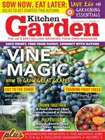 Kitchen Garden